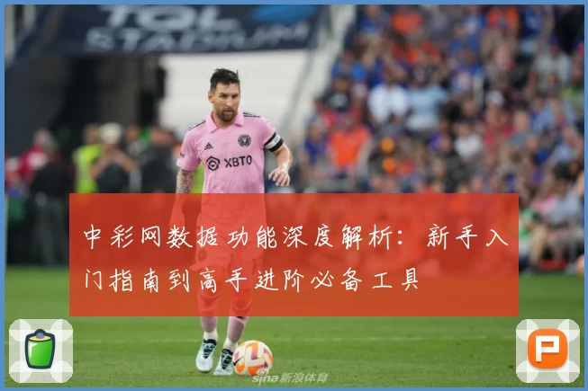 中彩网数据功能深度解析：新手入门指南到高手进阶必备工具