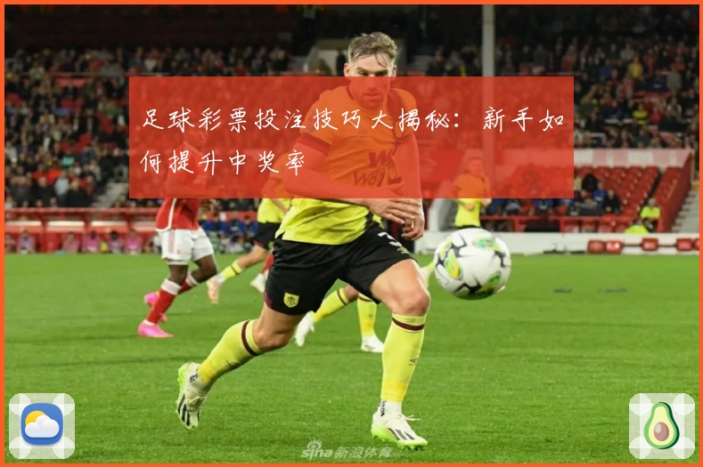 足球彩票投注技巧大揭秘:新手如何提升中奖率