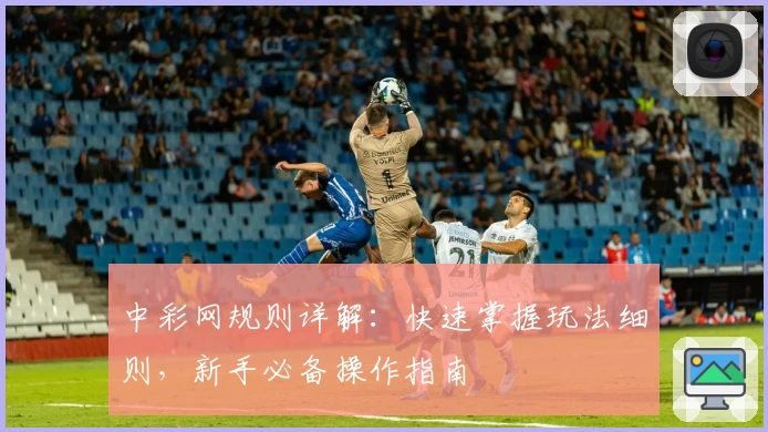 中彩网规则详解：快速掌握玩法细则，新手必备操作指南